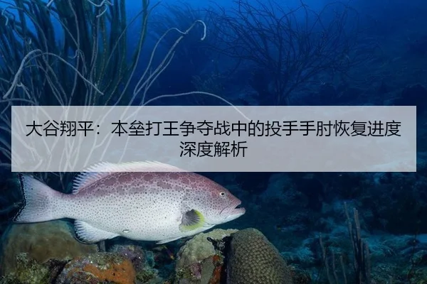 大谷翔平：本垒打王争夺战中的投手手肘恢复进度深度解析