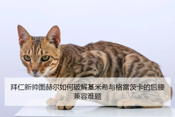 拜仁新帅图赫尔如何破解基米希与格雷茨卡的后腰兼容难题