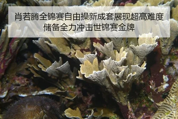 xiao-ruo-teng-quan-jin-sai-zi-you-cao-xin-cheng-tao-zhan-xian-chao-gao-nan-du-chu-bei-quan-li-chong-ji-shi-jin-sai-jin-2-720.jpg
