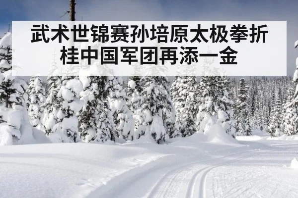 武术世锦赛孙培原太极拳折桂中国军团再添一金